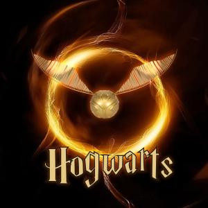 Hogwarts Café - Bar