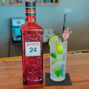 Gin Tonic