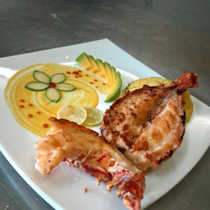 Langosta Grillé
