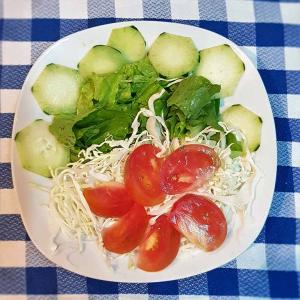 Ensalada Mixta de Vegetales