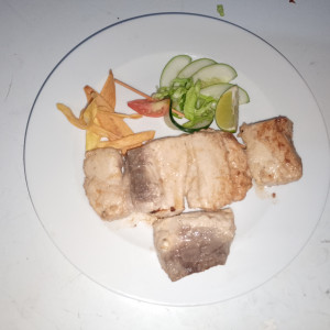 Filete de pescado grille 